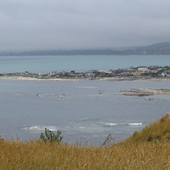 IMG 0355