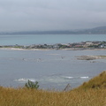 IMG 0355