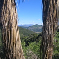 IMG 0357