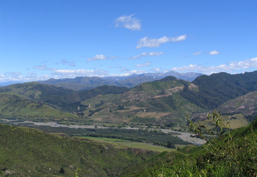 IMG 0358