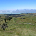 IMG 0367