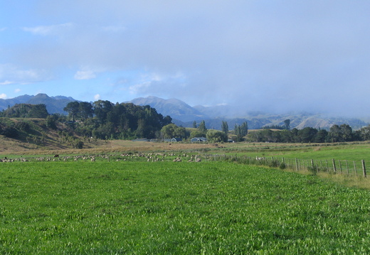 IMG 0370