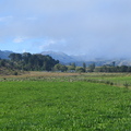 IMG 0370