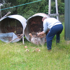 IMG 0391
