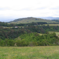 IMG 0409