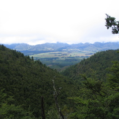 IMG 0411