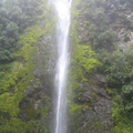 IMG 0414