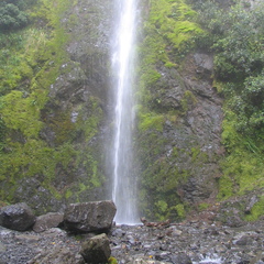 IMG 0415