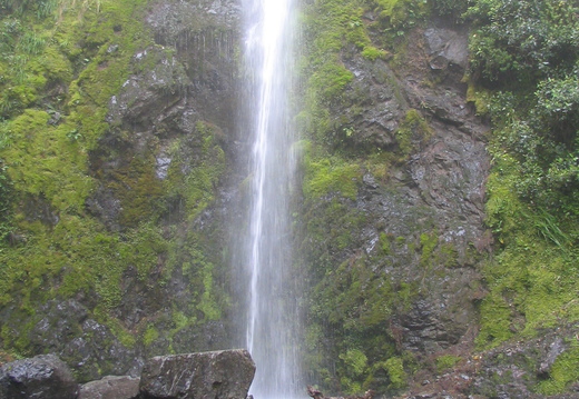 IMG 0415