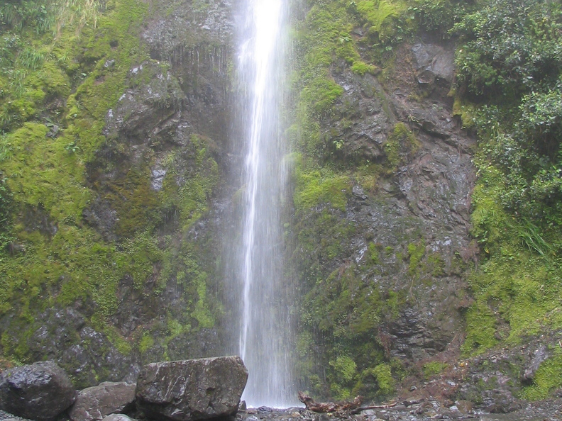 IMG 0415