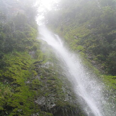 IMG 0421