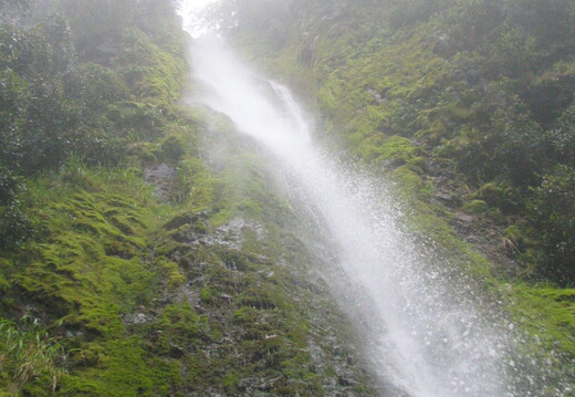 IMG 0421