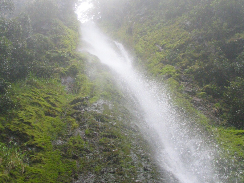 IMG 0421