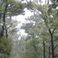 IMG 0424