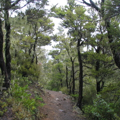 IMG 0425