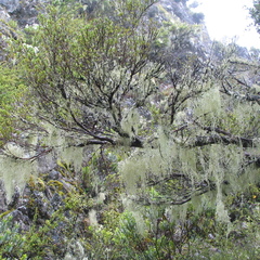 IMG 0426