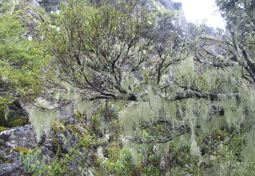 IMG 0426