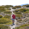IMG 0434