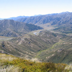 IMG 0435