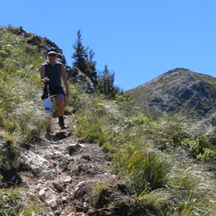 IMG 0437
