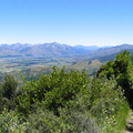 IMG 0442