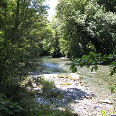 IMG 0449