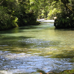 IMG 0450