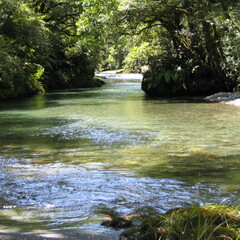 IMG 0452