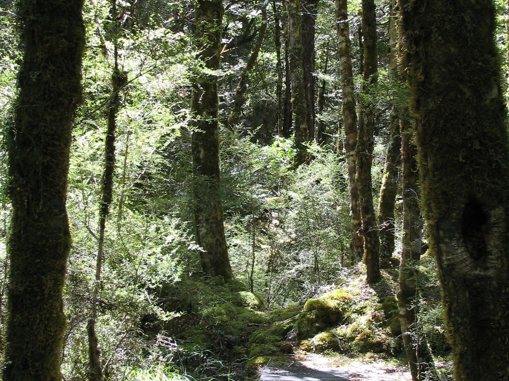 IMG 0453