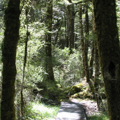 IMG 0453