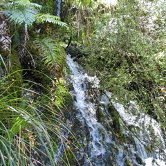IMG 0454