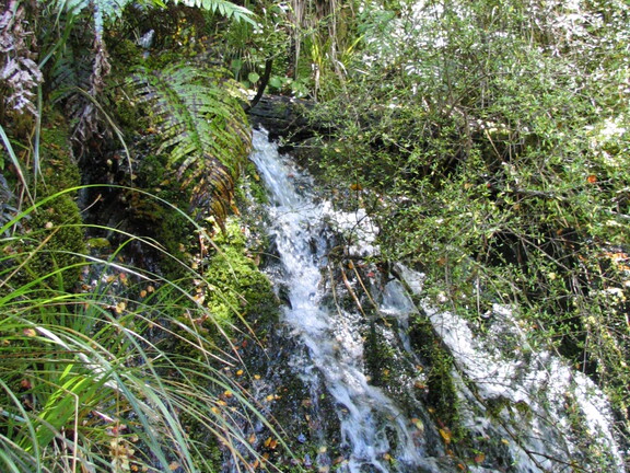 IMG 0454