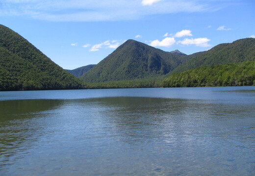 IMG 0455