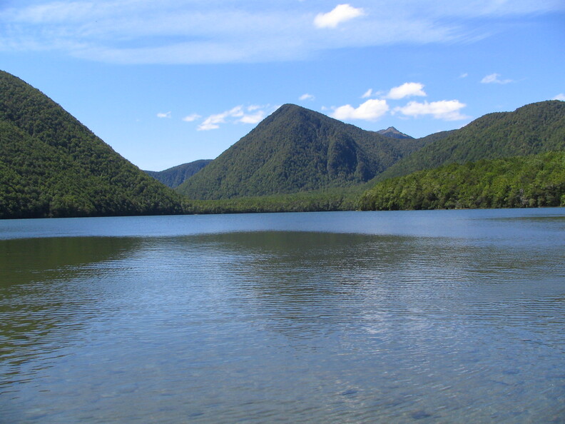 IMG 0455