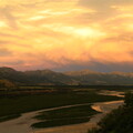 IMG 0467