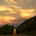 IMG 0473