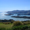 IMG 0484