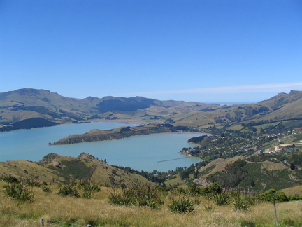 IMG 0489