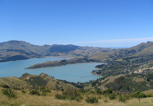IMG 0489
