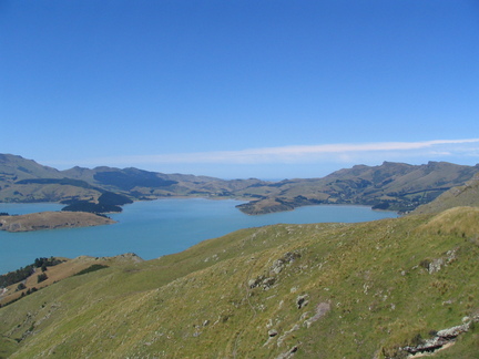 IMG 0493