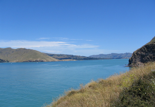 IMG 0495