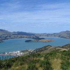 IMG 0496