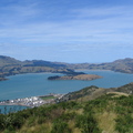 IMG 0496