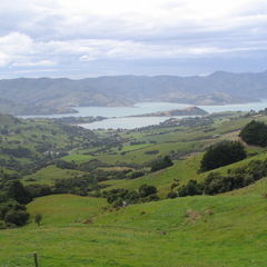 IMG 0499