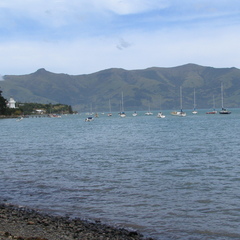 IMG 0500