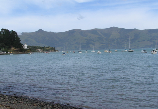 IMG 0500