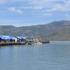 IMG 0502