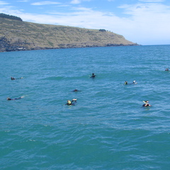 IMG 0516