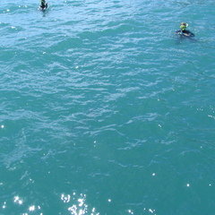 IMG 0523