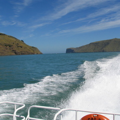 IMG 0531